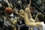 Partizan pobjegao s nule, Barselona nastavila niz
