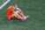 Robben ponovno ozlijeđen, propušta Nürnberg i Valenciju