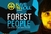 Rave'N'Roll u klubu Sirup vam predstavlja Forest People
