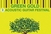 Ne propustite 2. Green Gold International Acoustic Festival