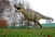 Dinosauri su živjeli prije 230 milijuna godina, a najopasniji je bio T-Rex