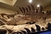Dinosaure možemo vidjeti i danas, izloženi su u muzejima