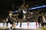 NBA skoknuo do Londona: Brooklyn je svladao Atlantu