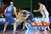 Dario Šarić 'zarazio' je Cibonu: 'Vukovi' u pobjedničkom nizu