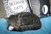 Za sve prave mačkoljupce: U New Yorku otvoren cat cafe