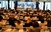 Veliki uspjeh donatorske konferencije u Briselu
