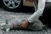 Video: Nakon dvije godine psić vidio vlasnicu i pao u nesvijest