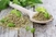 Nepregledno polje mogućnosti: Origano