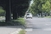 Podgorica: Krošnje zaklanjaju pogled na bulevaru