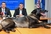 Lajk dana: Kujica Lana otkrila krijumčara 6 kilograma heroina
