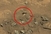 NASA-in rover je na površini Marsa našao bedrenu kost?