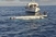 Nestalo 170 imigranata nakon potonuća broda blizu Tripolija