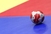 Kosovo može igrati rukometne utakmice: Priznao ga je EHF