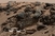 NASA-in rover Curiosity je na Marsu našao tragove života?