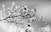 Снег и многу студено време, температурите ќе се спуштат до минус 15