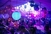 'Matchup' party s DJ Emiliom Dalbellom u petak u Galleryju