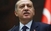 Erdogan danas u Sarajevu