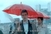 SDP i Milanović kao Rihanna: I oni su imali spot Umbrella...