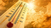 Денеска рекордни 42 степени Целзиусови