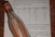 Našla poruku u boci staru čak 108 godina
