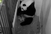Majka osjetila smrt: Uginula je novorođena panda blizanka