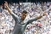 Ronaldo je zabio pet golova u Barceloni! Modrić je asistirao