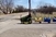 Video: Psi vam se brzo uvuku 'pod kožu' i onda  ste gotovi!