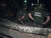 Драма во Богданци: Дрвокрадци направија вистинки хаос