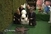 Snoopy dobio svoju 'zvijezdu' na Stazi slavnih u Hollywoodu