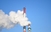 Zagađenost zraka alarmantna: Političare smog ne guši