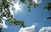 Dnevna temperatura u BiH od 14 do 19 stepeni