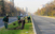 Во Центар ќе се уредуваат дрвореди и грмушки