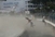 Htjela se posušiti pa ju mlazni motori odbacili u zid na plaži