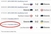 Estonija dogovorila prijateljsku utakmicu na dan doigravanja?!