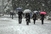 U Sarajevu 40 cm snijega: Za sve krive 'vidovitu Severinu'