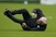 Trapattoni: Italija lako može do naslova, imaju kvalitetu za to