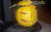 „Не биди тиква, прослави го Halloween“ во Арабеска
