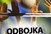 Galeb slavio u Kotoru