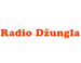 Radio Dzungla
